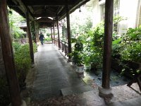 DSCN6718  A highly contrived luxury hotel complete with constructed streams