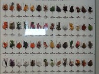 20160625 182510  All the various tastes in wine