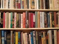 20160625 215116  For some reason Christine wanted this photo of David&#39;s library.