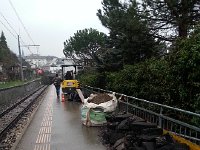 20160302 073729  2 March - net worksite on the MOB