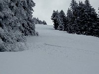 20160304 091424  nearly first tracks down Piste de Diable (steeper than it looks - note trees)