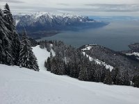 20160304 091444  toward Caux