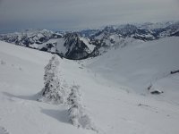 20160304 103610  The Combe and the train coming out of the tunnel