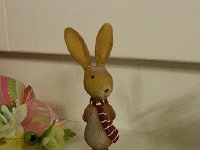 20160306 165127  I like this bunny!