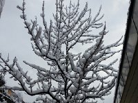 20160308 081543  8 March - quiet snowfall