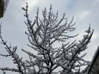 20160308 081553  with no wind