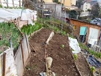 20160320 164617  20 March - getting the garden ready