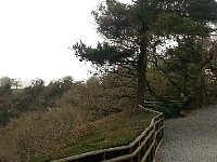 20160326 131708  Thick hedge to keep crêpe eaters from falling off the cliff