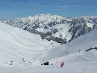 20160309 131414  The long poma