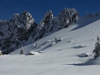 20160309 133156  Our backyard