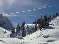 20160309 135317  Treeline skiing