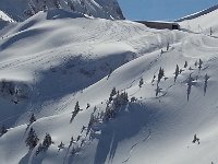 20160309 135731  At least one of these is mine