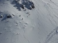 20160309 140202  But not these!