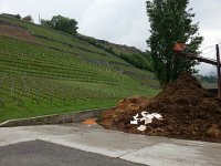 20160514 113639  We drive to an Abbaye near Bex