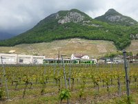 20160514 142830  Petit train through the vines