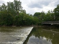 20160518 165310  There&#39;s a heron there