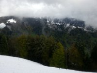 20160501 174518  looking across to Haut de Caux