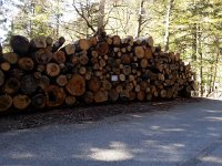 20160505 172139  Log deck on the road to Les Avants