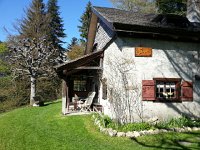 20160505 173906  A wonderful chalet - look at the pollarded tree!