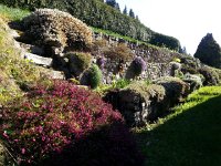 20160505 174232  I&#39;ve walked through this garden many times