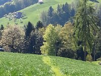 20160505 174321  and down this path too