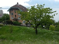 20160514 104158  14 May - the country in the city