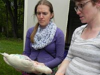 DSCN6331  Mildewy bear