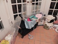 DSCN6337  Breezeway serves us well for staging