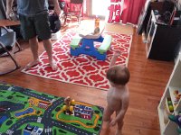 20160528 173057  and around...