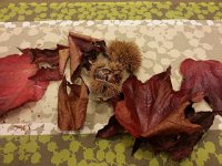 20161105 163932  We participated in the Chestnut Festival...