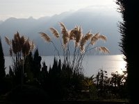 20161103 152708  3 Nov - next to Bruno and Eve&#39;s apartment