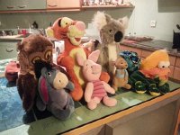 20161106 173635  6 Nov Val&#39;s cheering section