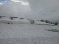 20161107 090136  7 Nov - skiff of snow...