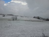 20161107 090139  in Fribourg