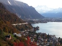 20161112 162046  They will gone when we return