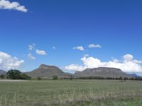 DSCN7684  The high veld