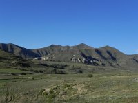 DSCN7697  Back to the Park