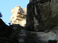 DSCN7728  A first ladder