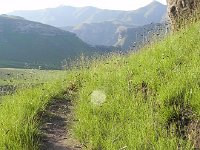 DSCN7735  The trail back to the hotel