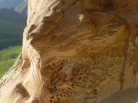 DSCN7739  Unclear how this happened