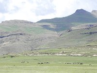 DSCN7749  Ah, ha - mountains with zebras