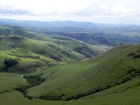 DSCN7787  Recent rains and greenup