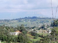 DSCN7833  Looks better in the photo than in reality