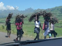 DSCN7857  Entering the Park as firewood leaves