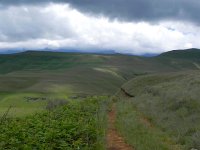 DSCN7873  Mountain grasslands