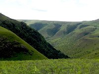 DSCN7876  Fire keeps the trees to wetter environments