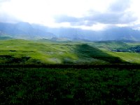 DSCN7890  Promised land