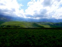 DSCN7891  light streaming