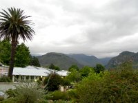 DSCN7897  Remnant of an earlier Africa, but still going strong