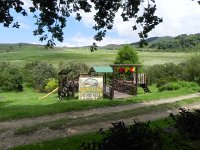 DSCN7904  so much like Northern California